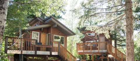 Sleep Among Towering Trees At These Heated Treehouses In Idaho
