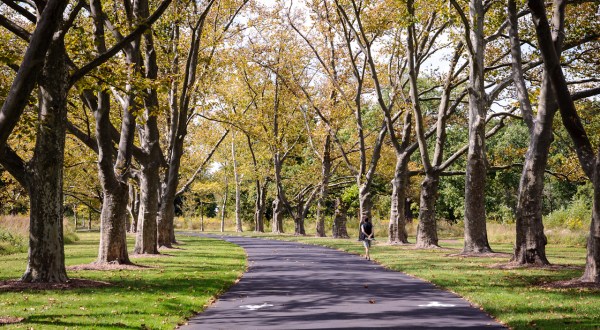 Duke Farms Is A Scenic Outdoor Spot In New Jersey That’s A Nature Lover’s Dream Come True