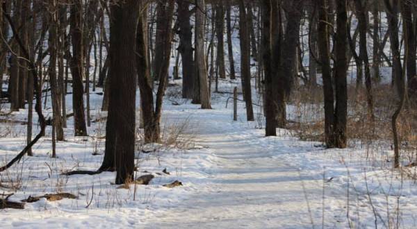 Hartman Reserve Nature Center In Iowa Is A Picture-Perfect Place For A Winter Day Hike