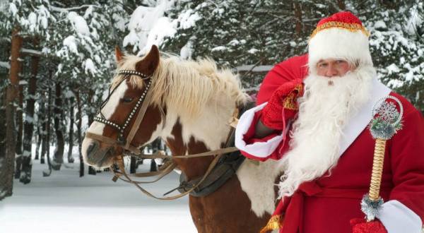 Experience A True Country Christmas At Fox Hollow Farm In Washington