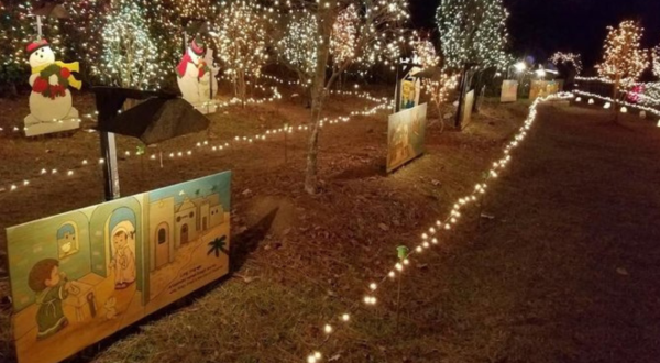 Lewis Lights In Mississippi Is Back For Its 34th Year To Spread Some Holiday Cheer     