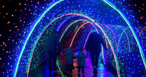 Walk Through 700,000 Holiday Lights At Zoolights In Washington