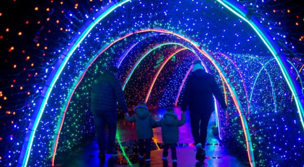 Walk Through 700,000 Holiday Lights At Zoolights In Washington