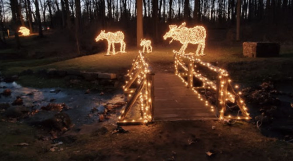 Experience 350,000 Holiday Lights At The Festival Of Silver Lights In Connecticut