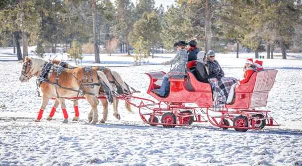 See The Charming Community Of Sunriver In Oregon Like Never Before On This Delightful Sleigh Ride