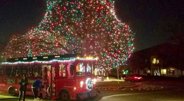 Take A Trolley Ride Through Millions Of Holiday Lights In Dallas, Texas This Season