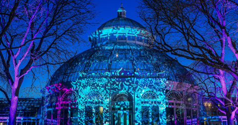 This Botanical Garden Holiday Light Display Is One Of The Most Beautiful In New York