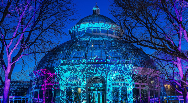 This Botanical Garden Holiday Light Display Is One Of The Most Beautiful In New York