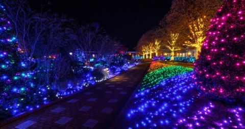 Walk Through Thousands Of Holiday Lights At Dominion GardenFest Of Lights In Virginia