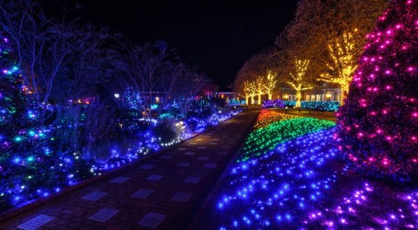 Walk Through Thousands Of Holiday Lights At Dominion GardenFest Of Lights In Virginia