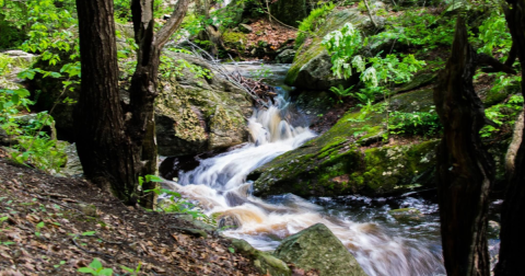 The 1.2-Mile Hike To Danforth Falls In Massachusetts Is Short And Sweet