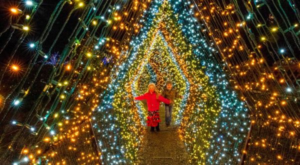 Stroll Through Thousands Of Stunning Lights At Winterlights In Two Massachusetts Gardens