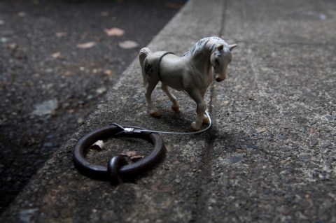 The Historic Horse Rings In Portland Are One Of Oregon's Most Charming Quirks