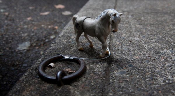 The Historic Horse Rings In Portland Are One Of Oregon’s Most Charming Quirks