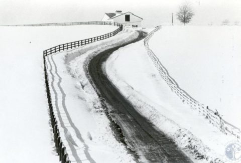 It's Impossible To Forget The Year Indiana Saw Its Single Biggest Snowfall Ever
