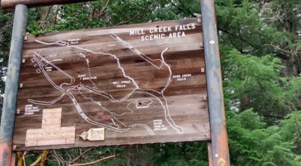 Take An Easy Loop Trail Past Some Of The Prettiest Scenery In Oregon On Mill Creek Falls Trail