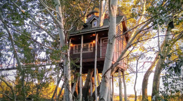 Cross A 70-Foot Suspension Bridge To This Adorable Utah Treehouse