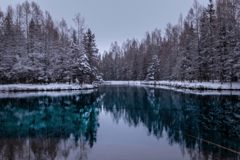 Michigan's Most Magical Natural Spring, Kitch-Iti-Kipi, Is Enchanting In The Winter