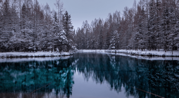 Michigan’s Most Magical Natural Spring, Kitch-Iti-Kipi, Is Enchanting In The Winter