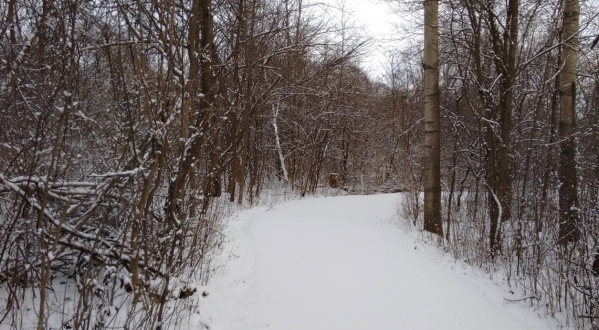 The Easy 1-Mile Winter Hike Near Detroit That’s Positively Bewitching