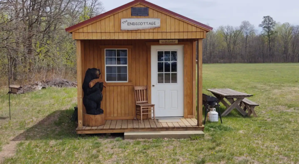 Spend The Night On An Alpaca Farm In This Cozy Tiny House AirBnb In Minnesota