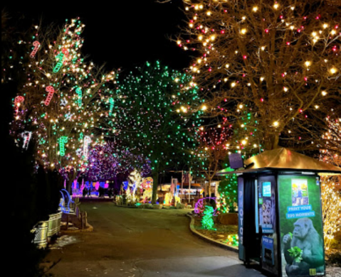 Zoo Lights, A Colorado Christmas Display, Has Been Named Among The Most Beautiful In The Country