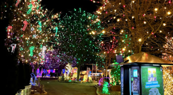Zoo Lights, A Colorado Christmas Display, Has Been Named Among The Most Beautiful In The Country
