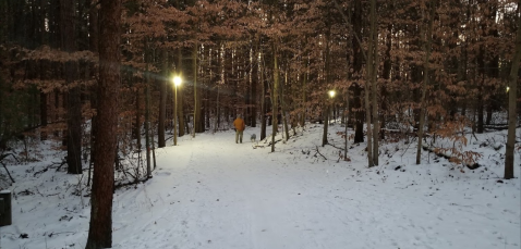 Take A Magical Winter Night Walk Along The Lighted Trails At Pigeon Creek Park In Michigan