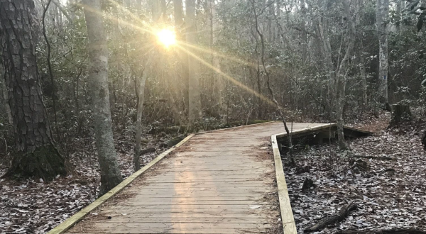 The Osmanthus Trail Is A 3-Mile Loop In Virginia That’s Even Lovelier In The Wintertime