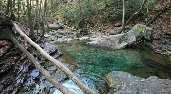 Virginia’s Most Magical Natural Spring, Devil’s Bathtub, Is Enchanting In The Winter