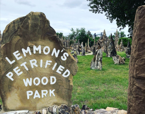 The Petrified Wood Park & Museum May Just Be The Most Eclectic Museum In South Dakota