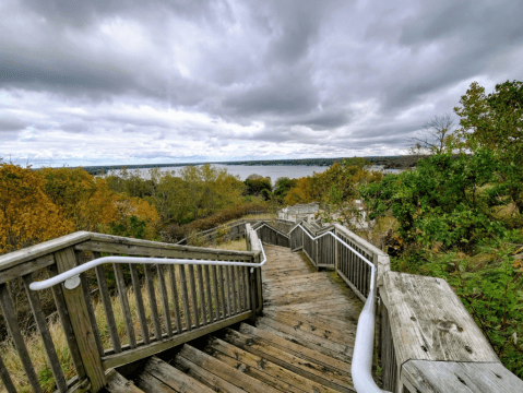 Hike This Stairway To Nowhere In Michigan For A Magical Woodland Adventure