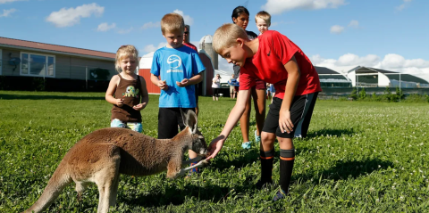 Be Fascinated By The Delightful Creatures You Meet At Iowa’s Best Kangaroo Farm, Hansen's Dairy