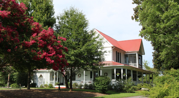 There’s A Bed and Breakfast On This Animal Farm In South Carolina And You Simply Have To Visit