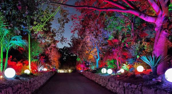 The Spectacular GLOWing Garden In Southern California At South Coast Botanical Garden Will Fill You With Holiday Cheer
