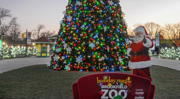 Holiday Magic At Brookfield Zoo In Illinois Will Make You Feel Like You’re In The North Pole