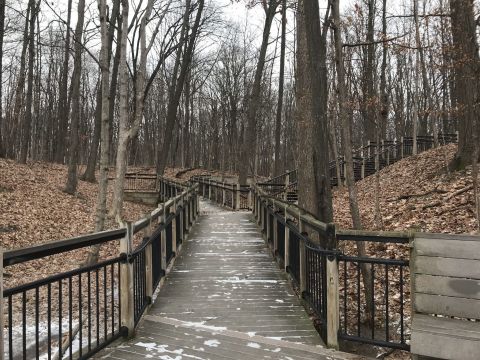 9 Totally Kid-Friendly Hikes In Metro Detroit That Are 1 Mile And Under