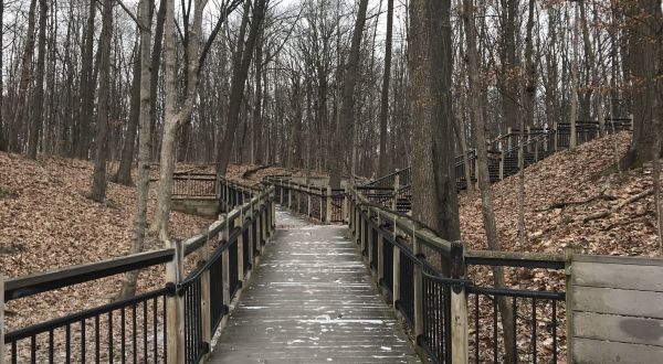 9 Totally Kid-Friendly Hikes In Metro Detroit That Are 1 Mile And Under