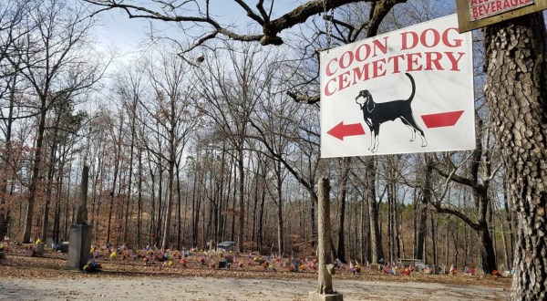 The World’s Only Coon Dog Cemetery Is Hiding In Small Town Alabama And It’s As Weirdly Wonderful As You’d Expect
