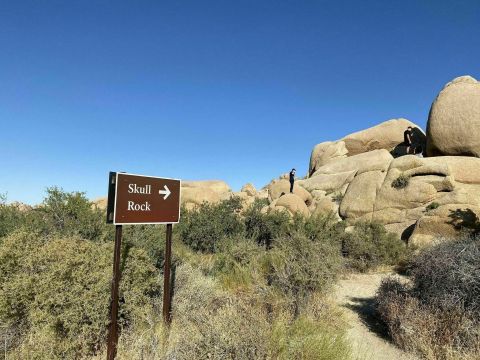 The Easy 1.5-Mile Skull Rock Nature Trail That's Tucked Inside The Southern California Desert