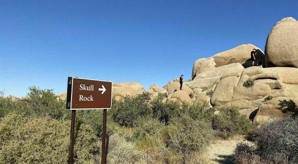 The Easy 1.5-Mile Skull Rock Nature Trail That’s Tucked Inside The Southern California Desert