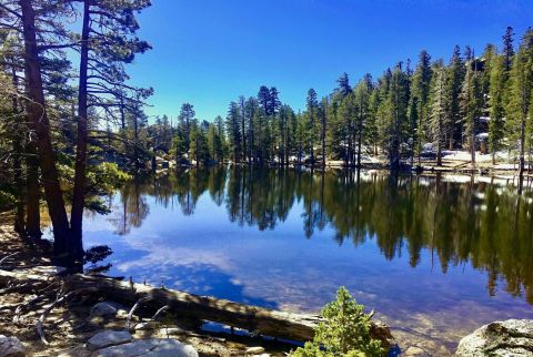Hike To Hidden Lake On This Picturesque 5-Mile Trail In Southern California The Whole Family Will Enjoy