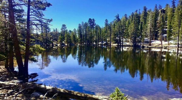 Hike To Hidden Lake On This Picturesque 5-Mile Trail In Southern California The Whole Family Will Enjoy