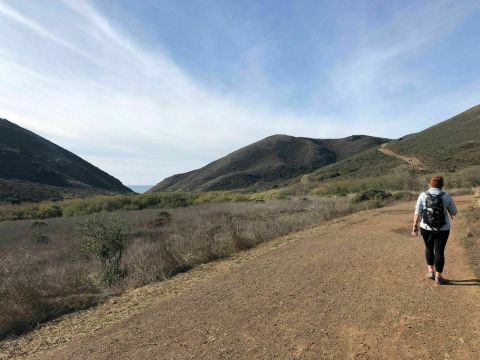 The Tennessee Valley Trail Is An Easy 3-Mile Hike That Leads Straight To A Secluded Beach In Northern California
