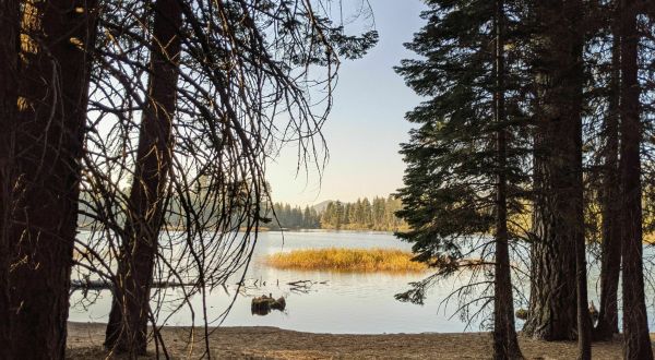 The Brief But Beautiful Manzanita Lake Trail In Northern California Is Fun For The Whole Family