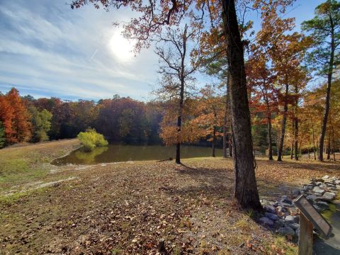 Bring A Pal And Take The Boardwalk Along Friendship Trail In Arkansas