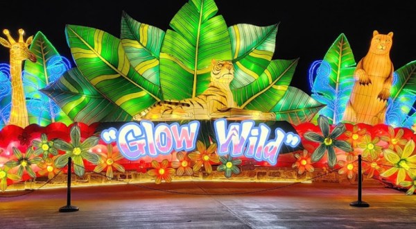 Watch Alabama’s Birmingham Zoo Come Alive With Glow Wild: An Animal Lantern Celebration