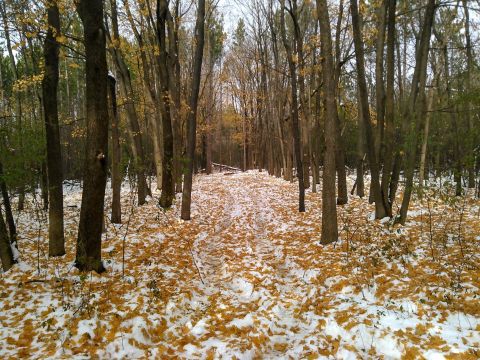 Get Outside This Winter And Hike, Ski, Or Snowmobile At Grant Woods In Illinois