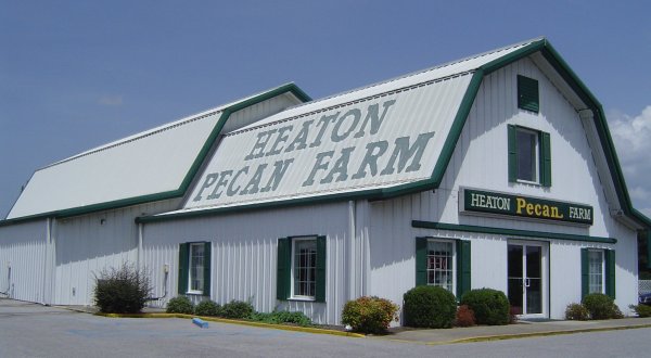 Enjoy Delicious Homemade Ice Cream, Pies, Candies, And More At Alabama’s Heaton Pecan Farm