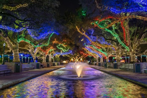 Texas' Beloved Zoo Lights Is Back And Better Than Ever This Holiday Season